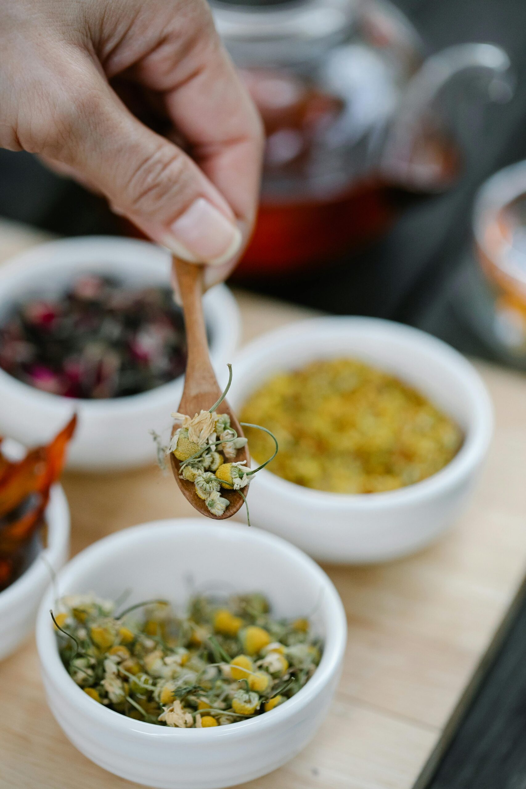 Organic Tea Collection