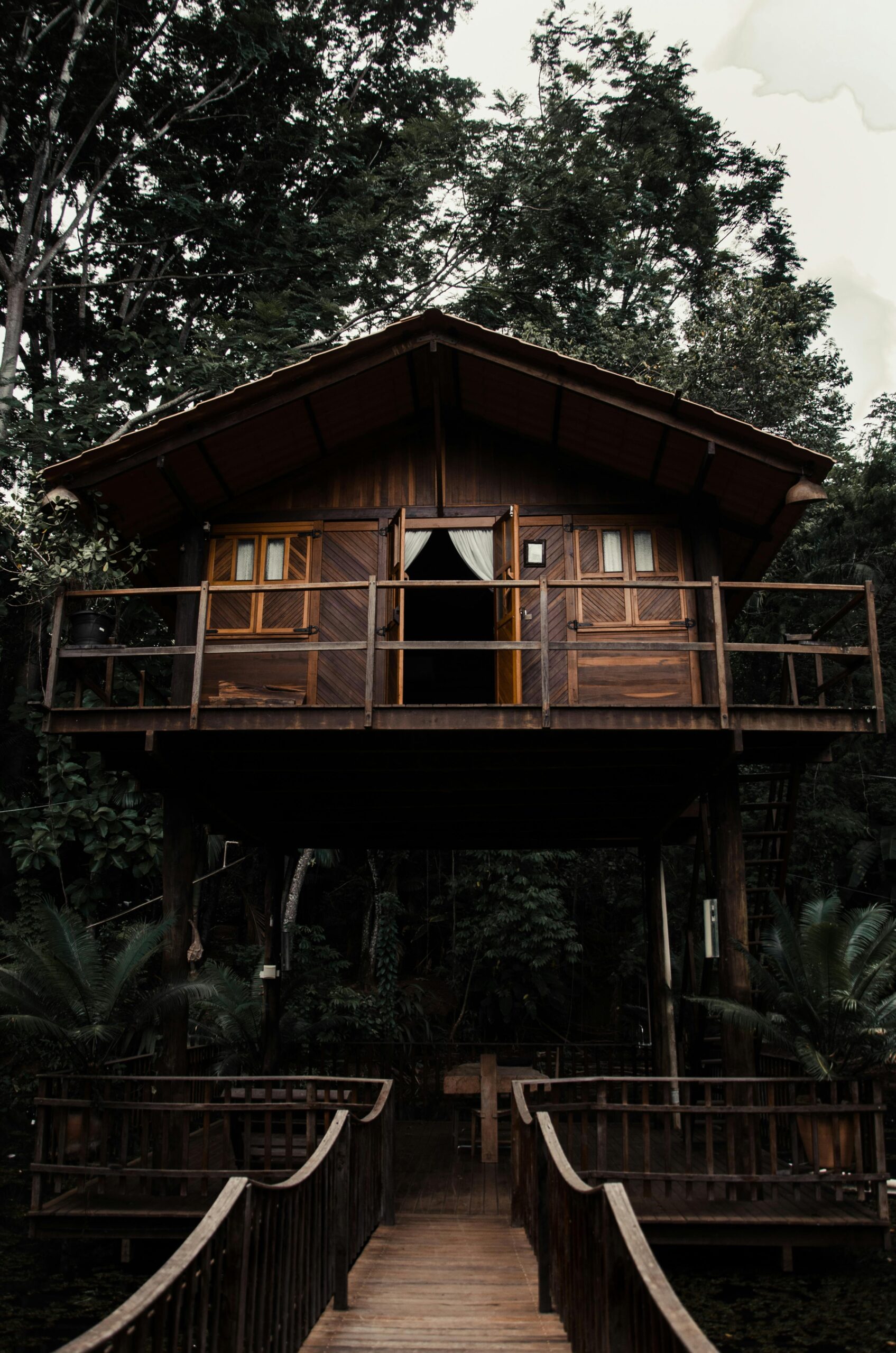 The Treehouse