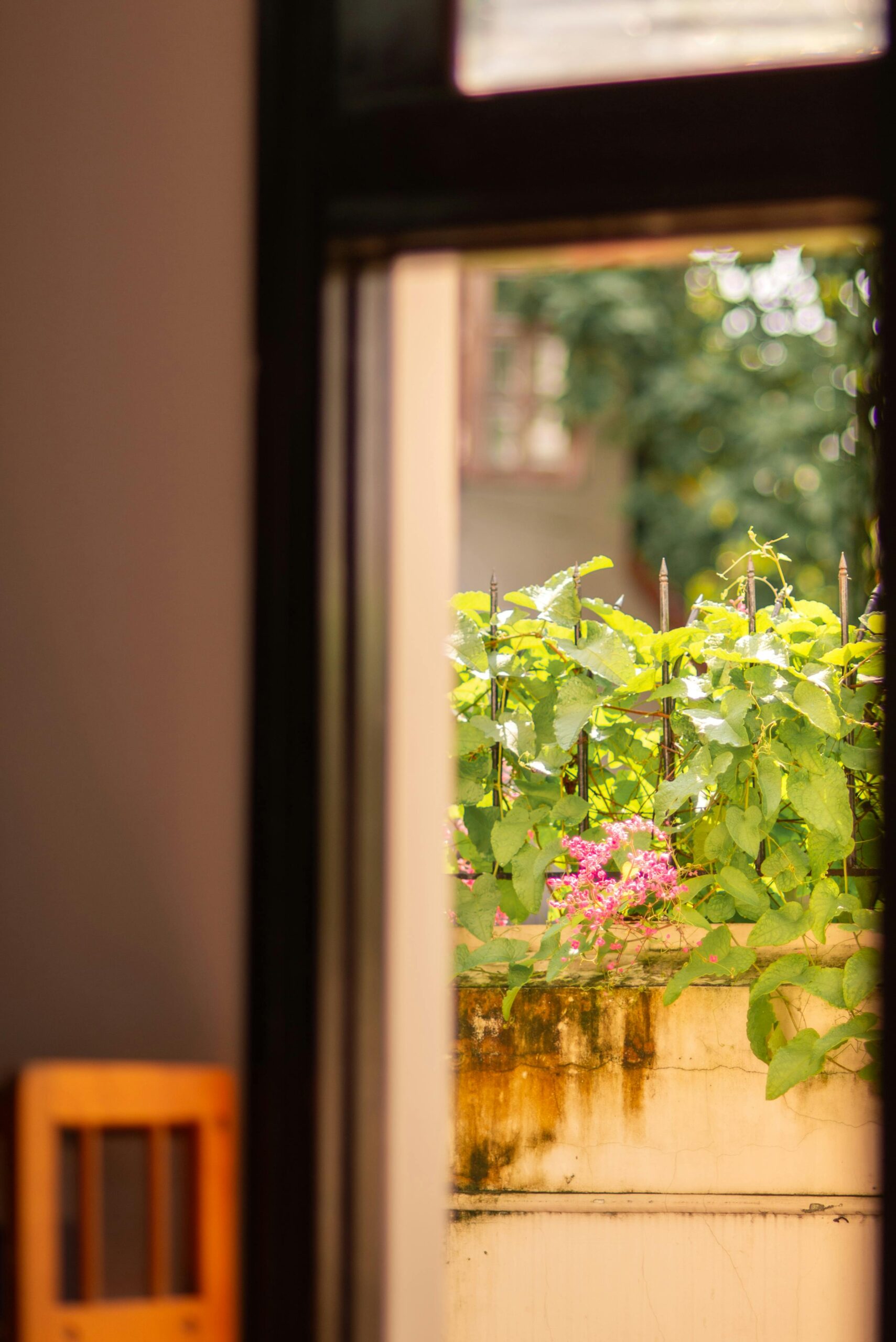 Garden View Double Room